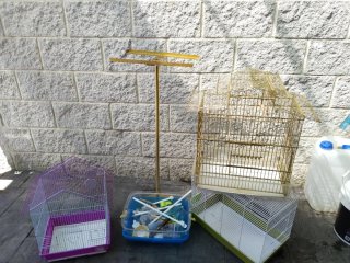Jaula Dorada para Pájaros o Hámster