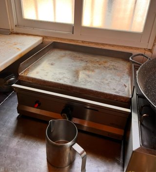 Plancha profesional de cocina