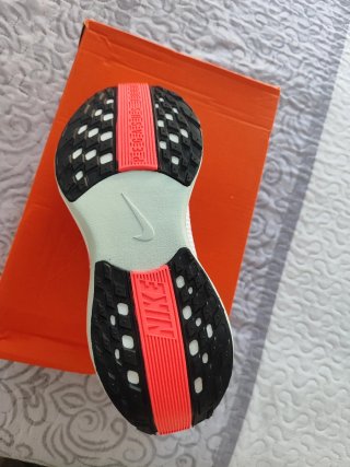 Nike Pegasus Trail 5 Nuevas