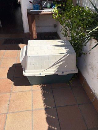 Caseta perro grande beige/verde