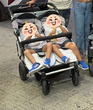 Carro gemelar