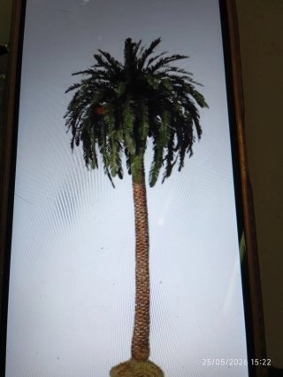 Palme decorative per Betlemme