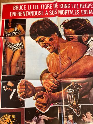 Póster Película El Retorno del Tigre Bruce Li