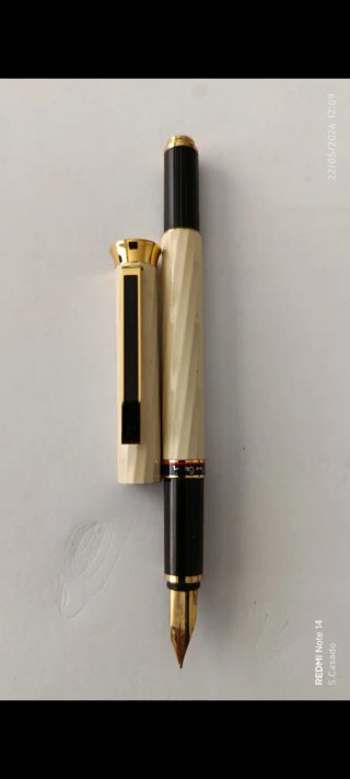 Penne stilografiche Waterman e Pierre Cardin