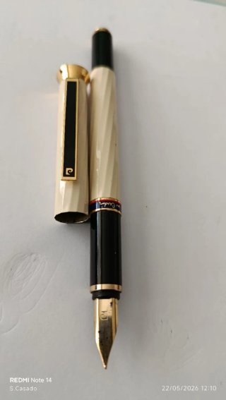Penne stilografiche Waterman e Pierre Cardin