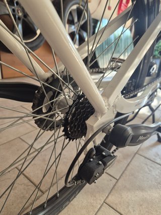 Bicicletta Tandem Elettrica Bianca