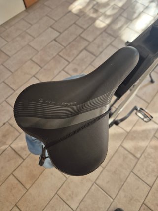Bicicletta Tandem Elettrica Bianca