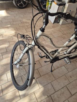 Bicicletta Tandem Elettrica Bianca