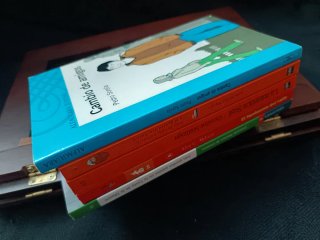 Lote 5 libros infantil/juvenil (de 9 a 12 años)