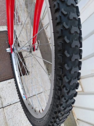 Bicicleta