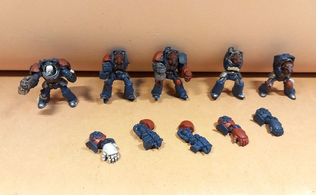 warhammer x5 exterminadores