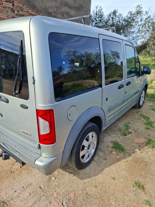 Ford Transit Connect 2010