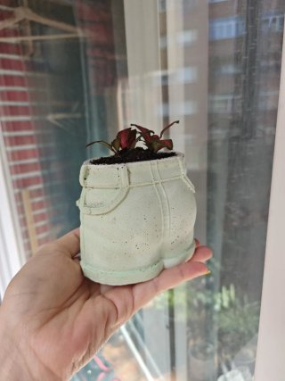 Macetas de yeso estilo shorts