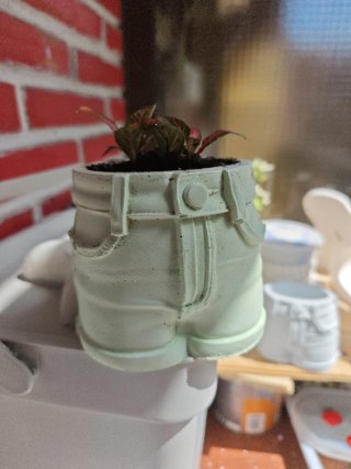 Macetas de yeso estilo shorts