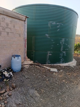 Finca de mango