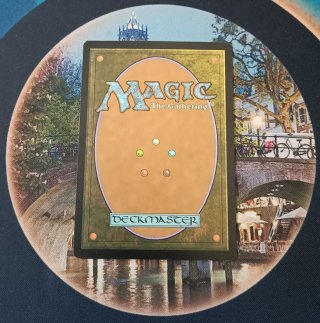 MAGIC FOIL - COLECCIONISTA DE PIELES
