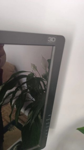 Monitor Zalman 3D Negro/Gris