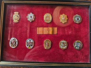 Cuadro de insignias pins , Policía Nacional CNP