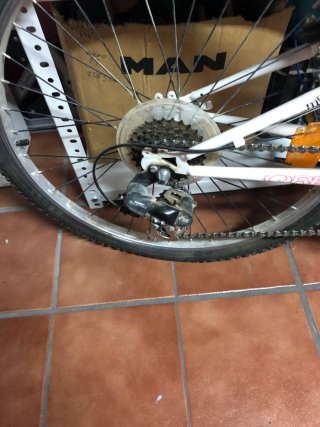 Bici Orbea Taglia 24 per Bambini