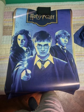 Póster Harry Potter