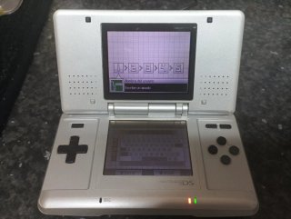Nintendo DS Plata Cargador Incluido