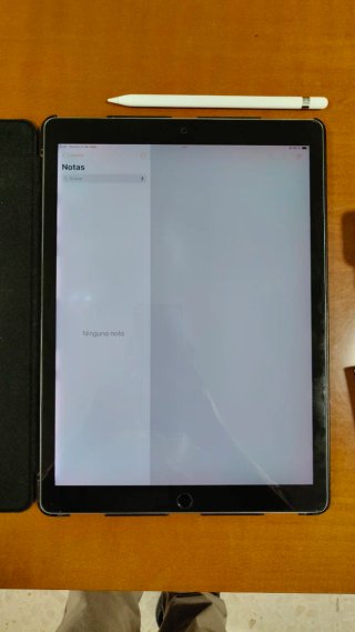 Apple iPad Plata + Accesorios