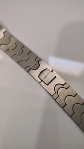 Correa Swatch Skin Acero Satinado