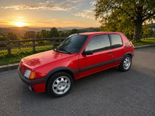 Peugeot 205 1990