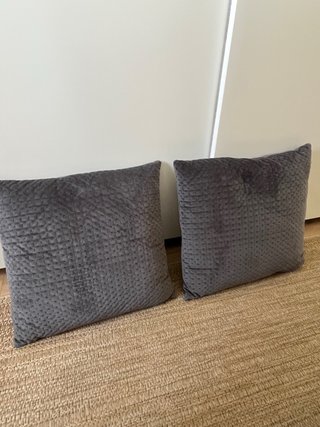 2 Cojines Grises Terciopelo