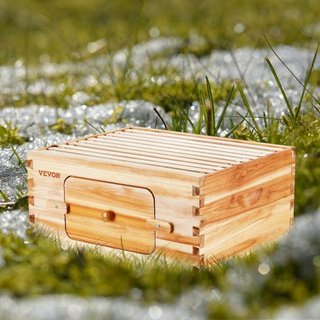 Kit de Inicio de Caja Profunda para Colmenas, Madera de Abeto Natural Recubierta de Cera de Abeja al 100%, Kit de Colmena Langstroth con 10 Marcos y Fundaciones, Ventanas Acrílicas Transparentes p...