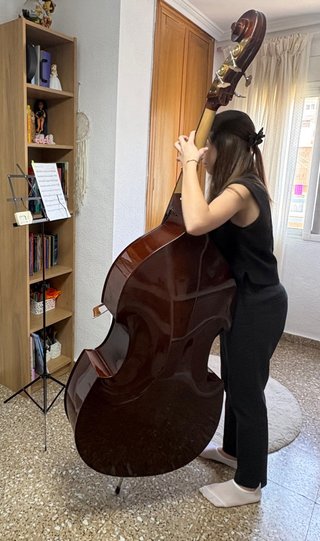 Contrabajo 1/2, funda, arco, soporte, atril...