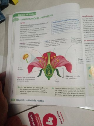 Ciencias de la Naturaleza, 4 Educación Primaria
