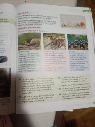 Ciencias de la Naturaleza, 4 Educación Primaria