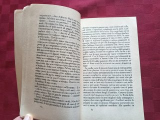 Libro. Il sergente nella neve. Ritorno sul Don.