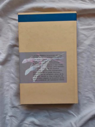 Rabos de lagartija