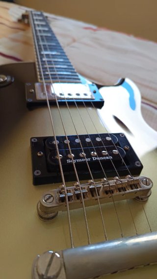 Epiphone Les Paul Custom Adam Jones 1979