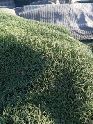 Césped artificial reciclado