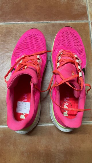 Zapatillas Nike Pegasus 41