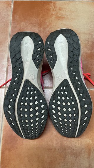 Zapatillas Nike Pegasus 41