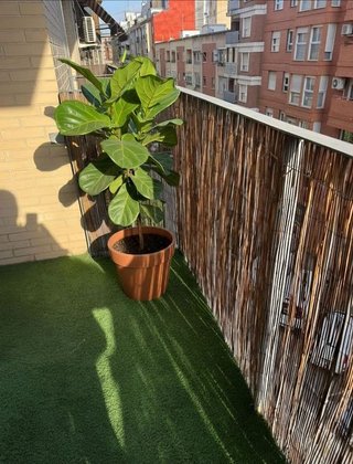 Piso en alquiler en Nou Moles en Valencia - Imagen 14