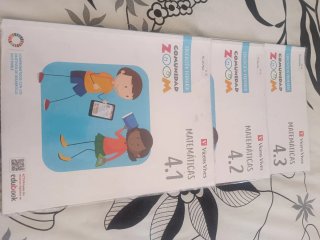 Matemáticas 4, Educación Primaria, Comunidad Zoom