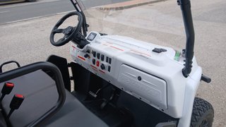 BUGGY ELECTRICO