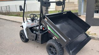 BUGGY ELECTRICO
