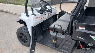 BUGGY ELECTRICO