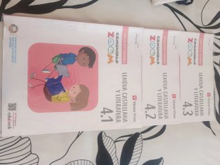 Lengua Castellana y Literatura 4, Educación Pri...