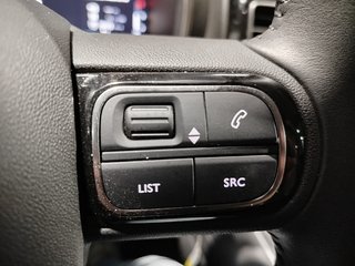 Citroen C5 Aircross 2024 PureTech 96kW 130CV SS