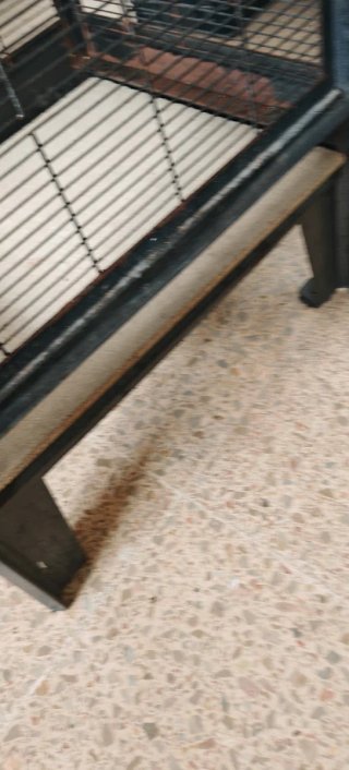 Jaula Voladera Grande Negra y Gris