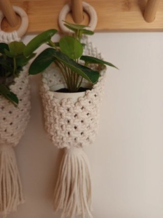 Maceteros de macramé colgantes