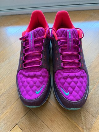 Nike Air Zoom Pegasus 41 Gore Tex