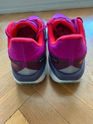 Nike Air Zoom Pegasus 41 Gore Tex